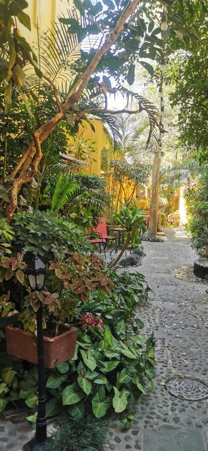 Hotel Rosa Morada Tlaquepaque Zewnętrze zdjęcie